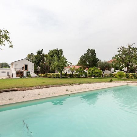 Casa De Arcos Guest House Anadia Ngoại thất bức ảnh