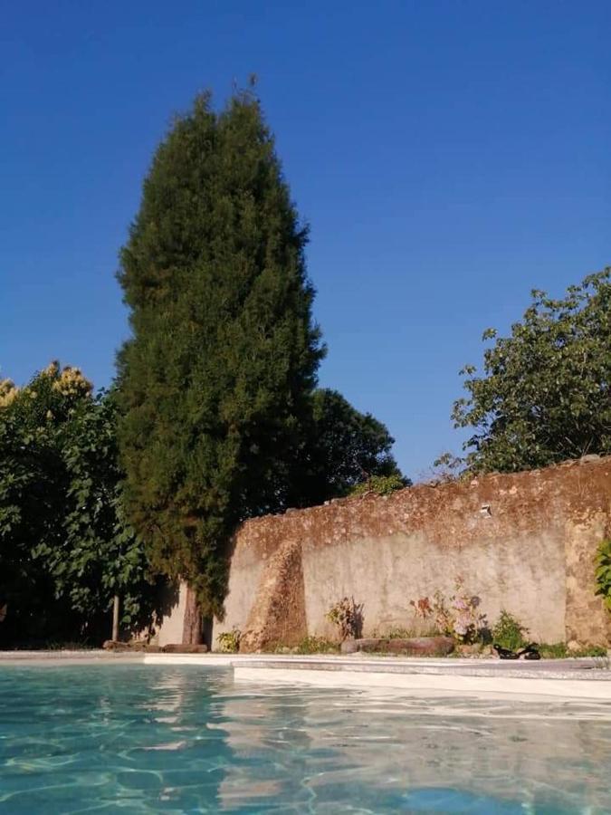 Casa De Arcos Guest House Anadia Ngoại thất bức ảnh